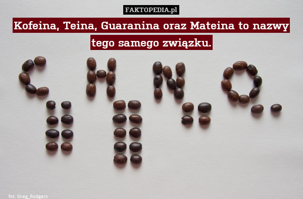 Kofeina, Teina, Guaranina oraz Mateina to nazwy tego samego związku. 
