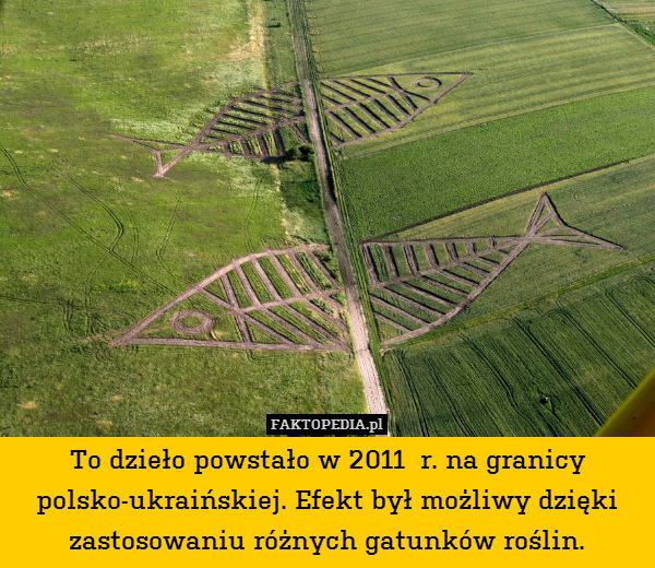 To dzieło powstało w 2011  r. na granicy polsko-ukraińskiej. Efekt był możliwy dzięki zastosowaniu różnych gatunków roślin. 