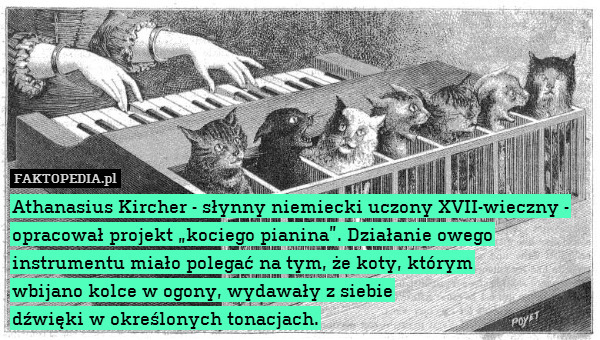 Athanasius Kircher - słynny niemiecki uczony XVII-wieczny - opracował projekt „kociego pianina”. Działanie owego instrumentu miało polegać na tym, że koty, którym
wbijano kolce w ogony, wydawały z siebie
dźwięki w określonych tonacjach. 
