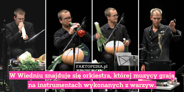 W Wiedniu znajduje się orkiestra, której muzycy grają
na instrumentach wykonanych z warzyw. 