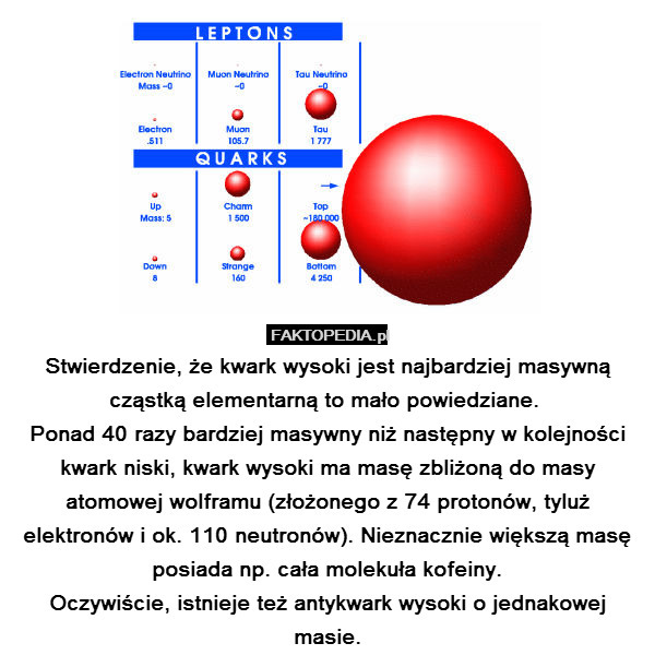 Stwierdzenie, że kwark wysoki jest najbardziej masywną cząstką elementarną to mało powiedziane. 
Ponad 40 razy bardziej masywny niż następny w kolejności kwark niski, kwark wysoki ma masę zbliżoną do masy atomowej wolframu (złożonego z 74 protonów, tyluż elektronów i ok. 110 neutronów). Nieznacznie większą masę posiada np. cała molekuła kofeiny.
Oczywiście, istnieje też antykwark wysoki o jednakowej masie. 