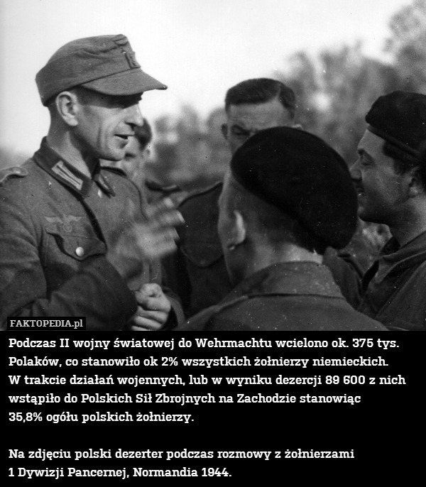 Podczas II wojny światowej do Wehrmachtu wcielono ok. 375 tys. Polaków, co stanowiło ok 2% wszystkich żołnierzy niemieckich.
W trakcie działań wojennych, lub w wyniku dezercji 89 600 z nich wstąpiło do Polskich Sił Zbrojnych na Zachodzie stanowiąc
35,8% ogółu polskich żołnierzy.

Na zdjęciu polski dezerter podczas rozmowy z żołnierzami
1 Dywizji Pancernej, Normandia 1944. 