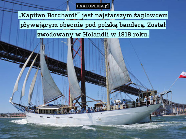 „Kapitan Borchardt” jest najstarszym żaglowcem pływającym obecnie pod polską banderą. Został zwodowany w Holandii w 1918 roku. 