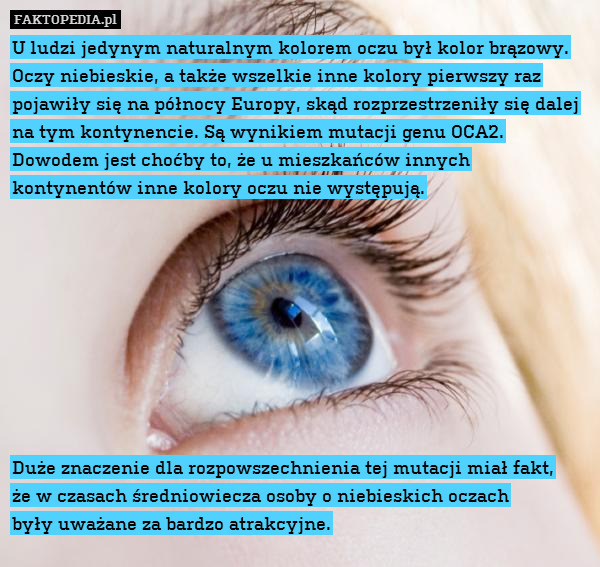 U ludzi jedynym naturalnym kolorem oczu był kolor brązowy.
Oczy niebieskie, a także wszelkie inne kolory pierwszy raz pojawiły się na północy Europy, skąd rozprzestrzeniły się dalej na tym kontynencie. Są wynikiem mutacji genu OCA2. Dowodem jest choćby to, że u mieszkańców innych kontynentów inne kolory oczu nie występują.









Duże znaczenie dla rozpowszechnienia tej mutacji miał fakt,
że w czasach średniowiecza osoby o niebieskich oczach
były uważane za bardzo atrakcyjne. 