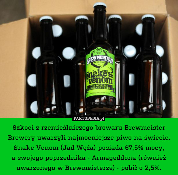 Szkoci z rzemieślniczego browaru Brewmeister Brewery uwarzyli najmocniejsze piwo na świecie. Snake Venom (Jad Węża) posiada 67,5% mocy,
a swojego poprzednika - Armageddona (również uwarzonego w Brewmeisterze) - pobił o 2,5%. 