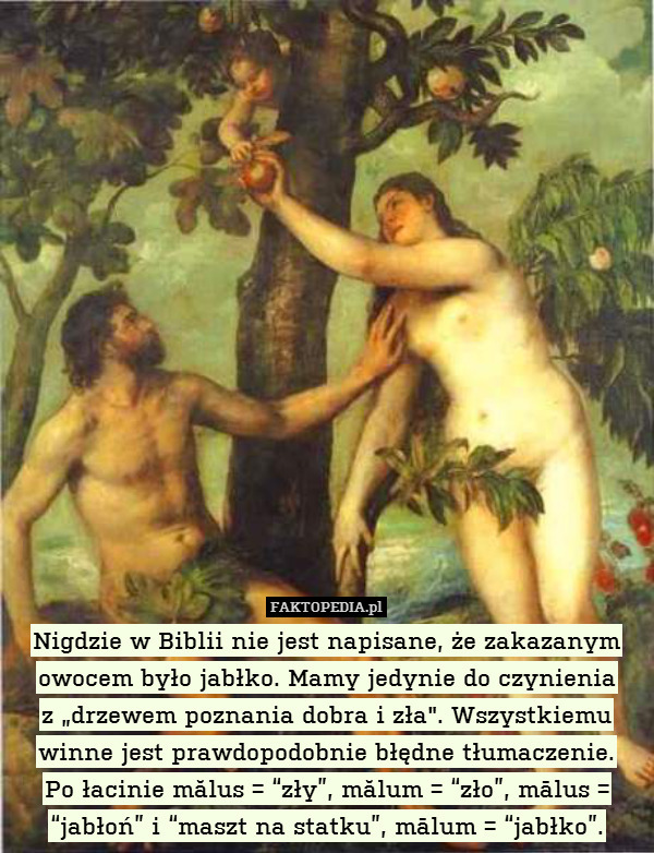 Nigdzie w Biblii nie jest napisane, że zakazanym owocem było jabłko. Mamy jedynie do czynienia
z „drzewem poznania dobra i zła". Wszystkiemu winne jest prawdopodobnie błędne tłumaczenie.
Po łacinie mălus = “zły”, mălum = “zło”, mālus = “jabłoń” i “maszt na statku”, mālum = “jabłko”. 