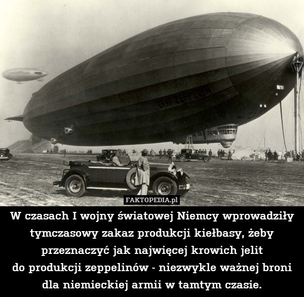 W czasach I wojny światowej Niemcy wprowadziły tymczasowy zakaz produkcji kiełbasy, żeby przeznaczyć jak najwięcej krowich jelit
do produkcji zeppelinów - niezwykle ważnej broni dla niemieckiej armii w tamtym czasie. 