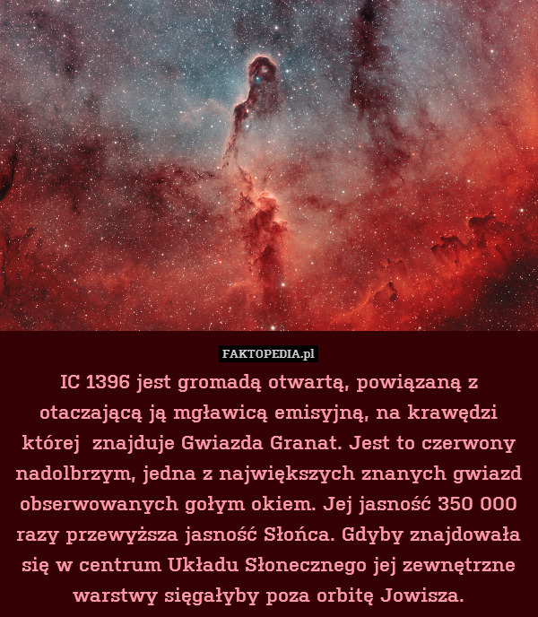 IC 1396 jest gromadą otwartą, powiązaną z otaczającą ją mgławicą emisyjną, na krawędzi której  znajduje Gwiazda Granat. Jest to czerwony nadolbrzym, jedna z największych znanych gwiazd obserwowanych gołym okiem. Jej jasność 350 000 razy przewyższa jasność Słońca. Gdyby znajdowała się w centrum Układu Słonecznego jej zewnętrzne warstwy sięgałyby poza orbitę Jowisza. 