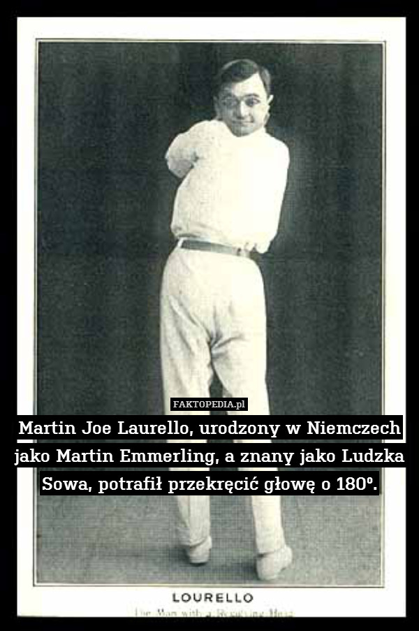 Martin Joe Laurello, urodzony w Niemczech jako Martin Emmerling, a znany jako Ludzka Sowa, potrafił przekręcić głowę o 180º. 