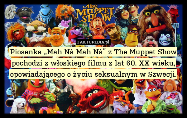 Piosenka „Mah Nà Mah Nà” z The Muppet Show pochodzi z włoskiego filmu z lat 60. XX wieku, opowiadającego o życiu seksualnym w Szwecji. 