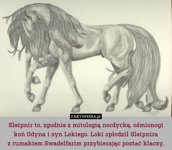 Sleipnir to, zgodnie z mitologią nordycką, ośmionogi koń Odyna i syn Lokiego. Loki spłodził Sleipnira
z rumakiem Swadelfarim przybierając postać klaczy. 