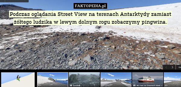 Podczas oglądania Street View na terenach Antarktydy zamiast żółtego ludzika w lewym dolnym rogu zobaczymy pingwina. 