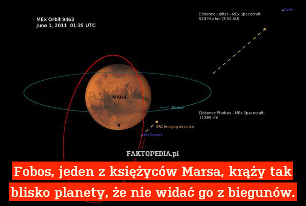Fobos, jeden z księżyców Marsa, krąży tak blisko planety, że nie widać go z biegunów. 