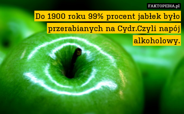 Do 1900 roku 99% procent jabłek było przerabianych na Cydr.Czyli napój alkoholowy. 