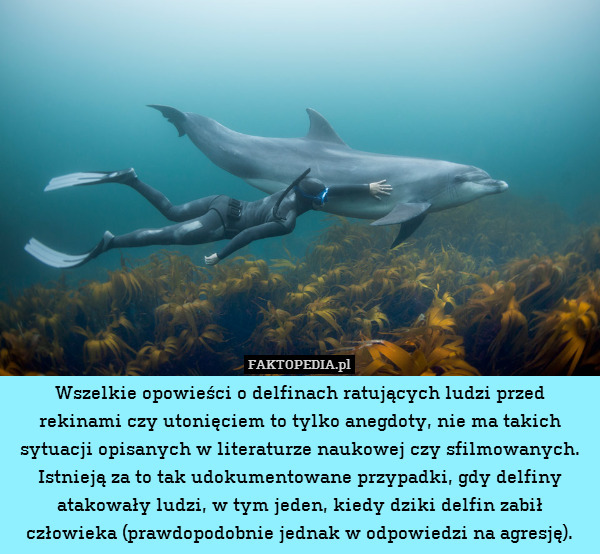 Wszelkie opowieści o delfinach ratujących ludzi przed rekinami czy utonięciem to tylko anegdoty, nie ma takich sytuacji opisanych w literaturze naukowej czy sfilmowanych. Istnieją za to tak udokumentowane przypadki, gdy delfiny atakowały ludzi, w tym jeden, kiedy dziki delfin zabił człowieka (prawdopodobnie jednak w odpowiedzi na agresję). 