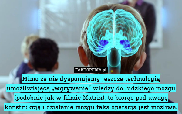 Mimo że nie dysponujemy jeszcze technologią umożliwiającą „wgrywanie” wiedzy do ludzkiego mózgu (podobnie jak w filmie Matrix), to biorąc pod uwagę konstrukcję i działanie mózgu taka operacja jest możliwa. 