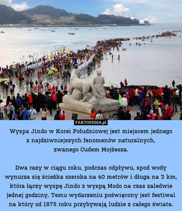 Wyspa Jindo w Korei Południowej jest miejscem jednego
z najdziwniejszych fenomenów naturalnych,
zwanego Cudem Mojżesza.

Dwa razy w ciągu roku, podczas odpływu, spod wody wynurza się ścieżka szeroka na 40 metrów i długa na 3 km, która łączy wyspę Jindo z wyspą Modo na czas zaledwie jednej godziny. Temu wydarzeniu poświęcony jest festiwal na który od 1975 roku przybywają ludzie z całego świata. 