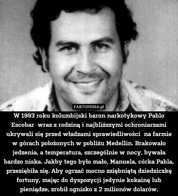 W 1993 roku kolumbijski baron narkotykowy Pablo Escobar  wraz z rodziną i najbliższymi ochroniarzami ukrywali się przed władzami sprawiedliwości  na farmie w górach położonych w pobliżu Medellin. Brakowało jedzenia, a temperatura, szczególnie w nocy, bywała bardzo niska. Jakby tego było mało, Manuela, córka Pabla, przeziębiła się. Aby ogrzać mocno zziębniętą dziedziczkę fortuny, mając do dyspozycji jedynie kokainę lub pieniądze, zrobił ognisko z 2 milionów dolarów. 