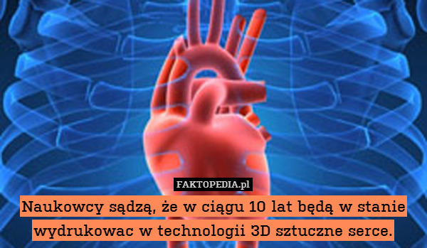 Naukowcy sądzą, że w ciągu 10 lat będą w stanie wydrukowac w technologii 3D sztuczne serce. 