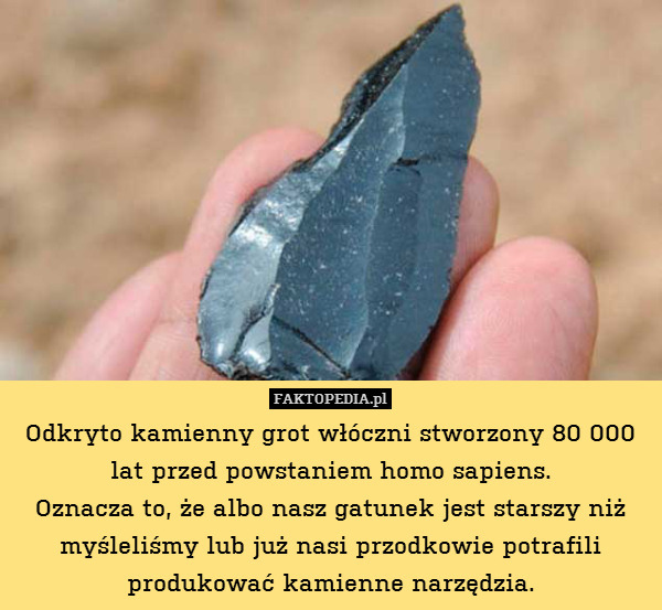 Odkryto kamienny grot włóczni stworzony 80 000 lat przed powstaniem homo sapiens.
Oznacza to, że albo nasz gatunek jest starszy niż myśleliśmy lub już nasi przodkowie potrafili produkować kamienne narzędzia. 