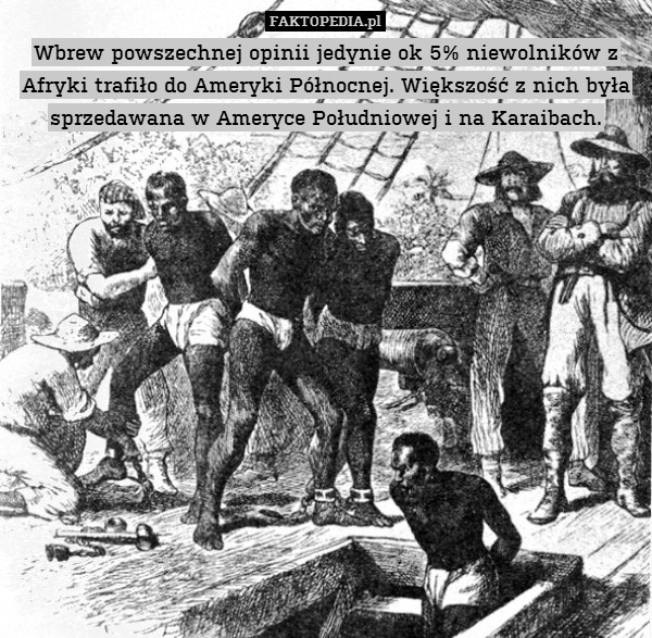 Wbrew powszechnej opinii jedynie ok 5% niewolników z Afryki trafiło do Ameryki Północnej. Większość z nich była sprzedawana w Ameryce Południowej i na Karaibach. 