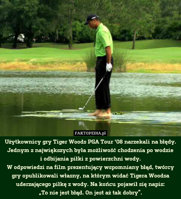 Użytkownicy gry Tiger Woods PGA Tour &apos;08 narzekali na błędy. Jednym z największych była możliwość chodzenia po wodzie
i odbijania piłki z powierzchni wody.
W odpowiedzi na film prezentujący wspomniany błąd, twórcy gry opublikowali własny, na którym widać Tigera Woodsa uderzającego piłkę z wody. Na końcu pojawił się napis:
„To nie jest błąd. On jest aż tak dobry”. 