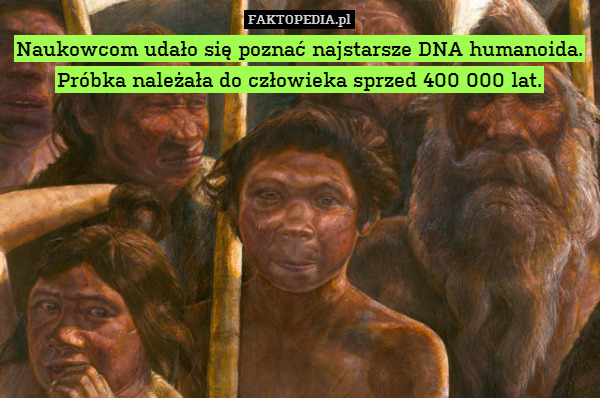 Naukowcom udało się poznać najstarsze DNA humanoida. Próbka należała do człowieka sprzed 400 000 lat. 