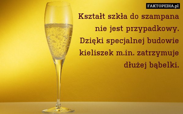 Kształt szkła do szampana
nie jest przypadkowy.
Dzięki specjalnej budowie
kieliszek m.in. zatrzymuje
dłużej bąbelki. 