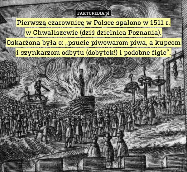 Pierwszą czarownicę w Polsce spalono w 1511 r.
w Chwaliszewie (dziś dzielnica Poznania).
Oskarżona była o: „psucie piwowarom piwa, a kupcom
i szynkarzom odbytu (dobytek!) i podobne figle”. 