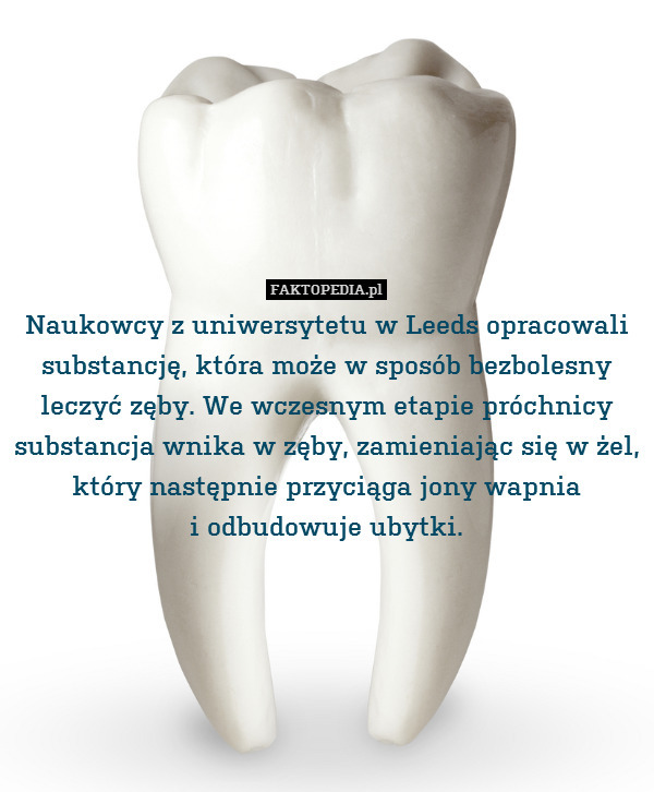 Naukowcy z uniwersytetu w Leeds opracowali substancję, która może w sposób bezbolesny leczyć zęby. We wczesnym etapie próchnicy substancja wnika w zęby, zamieniając się w żel, który następnie przyciąga jony wapnia
i odbudowuje ubytki. 