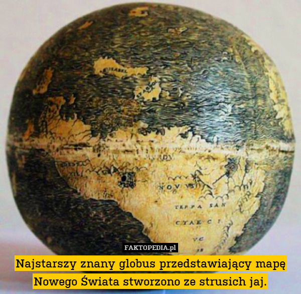 Najstarszy znany globus przedstawiający mapę Nowego Świata stworzono ze strusich jaj. 