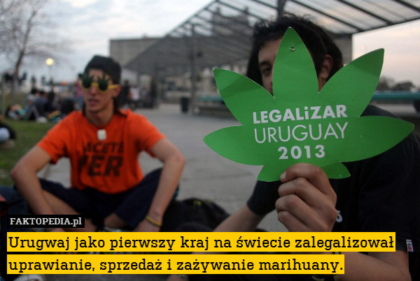 Urugwaj jako pierwszy kraj na świecie zalegalizował uprawianie, sprzedaż i zażywanie marihuany. 