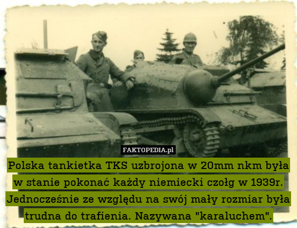 Polska tankietka TKS uzbrojona w 20mm nkm była w stanie pokonać każdy niemiecki czołg w 1939r. Jednocześnie ze względu na swój mały rozmiar była trudna do trafienia. Nazywana "karaluchem". 