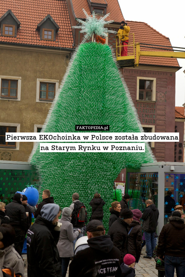 Pierwsza EKOchoinka w Polsce została zbudowana na Starym Rynku w Poznaniu. 