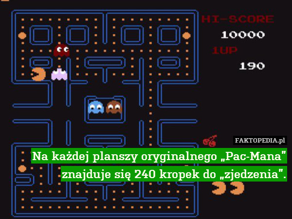 Na każdej planszy oryginalnego „Pac-Mana” znajduje się 240 kropek do „zjedzenia”. 