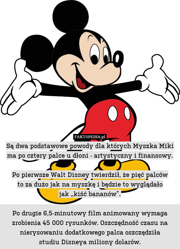 Są dwa podstawowe powody dla których Myszka Miki ma po cztery palce u dłoni - artystyczny i finansowy.

Po pierwsze Walt Disney twierdził, że pięć palców
to za dużo jak na myszkę i będzie to wyglądało
jak „kiść bananów”.

Po drugie 6,5-minutowy film animowany wymaga zrobienia 45 000 rysunków. Oszczędność czasu na nierysowaniu dodatkowego palca oszczędziła
studiu Disneya miliony dolarów. 