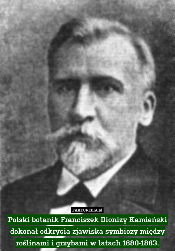 Polski botanik Franciszek Dionizy Kamieński dokonał odkrycia zjawiska symbiozy między roślinami i grzybami w latach 1880-1883. 