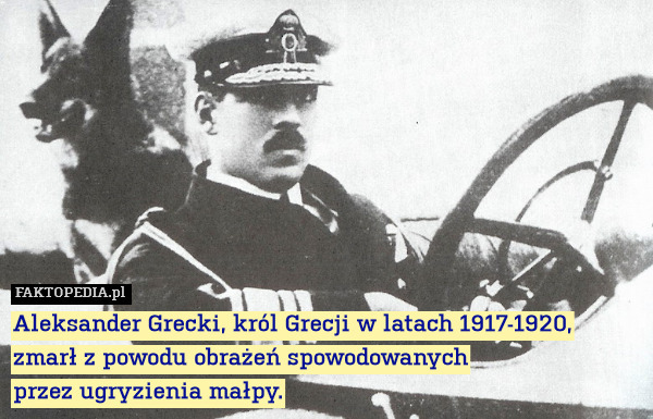 Aleksander Grecki, król Grecji w latach 1917-1920, zmarł z powodu obrażeń spowodowanych
przez ugryzienia małpy. 