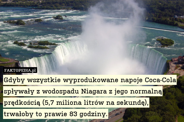 Gdyby wszystkie wyprodukowane napoje Coca-Cola spływały z wodospadu Niagara z jego normalną prędkością (5,7 miliona litrów na sekundę), trwałoby to prawie 83 godziny. 