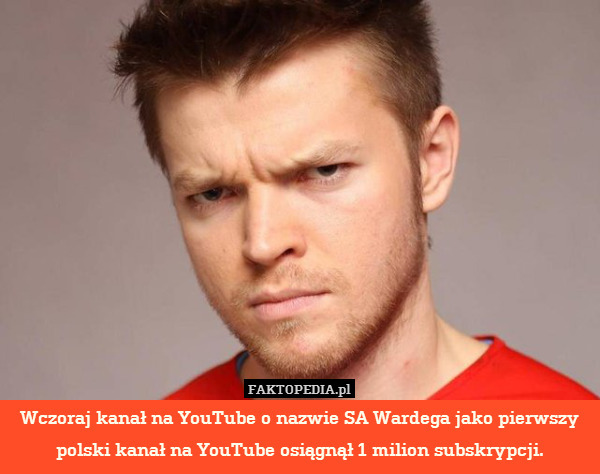 Wczoraj kanał na YouTube o nazwie SA Wardega jako pierwszy polski kanał na YouTube osiągnął 1 milion subskrypcji. 