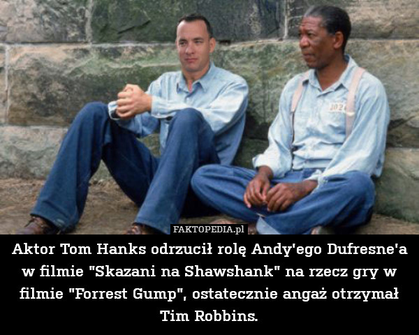 Aktor Tom Hanks odrzucił rolę Andy&apos;ego Dufresne&apos;a w filmie "Skazani na Shawshank" na rzecz gry w filmie "Forrest Gump", ostatecznie angaż otrzymał Tim Robbins. 