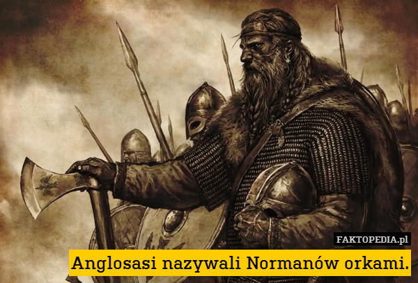 Anglosasi nazywali Normanów orkami. 