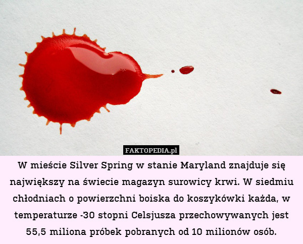 W mieście Silver Spring w stanie Maryland znajduje się największy na świecie magazyn surowicy krwi. W siedmiu chłodniach o powierzchni boiska do koszykówki każda, w temperaturze -30 stopni Celsjusza przechowywanych jest 55,5 miliona próbek pobranych od 10 milionów osób. 