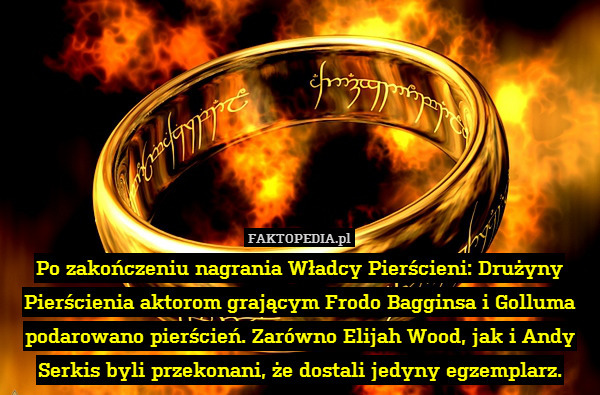 Po zakończeniu nagrania Władcy Pierścieni: Drużyny Pierścienia aktorom grającym Frodo Bagginsa i Golluma podarowano pierścień. Zarówno Elijah Wood, jak i Andy Serkis byli przekonani, że dostali jedyny egzemplarz. 