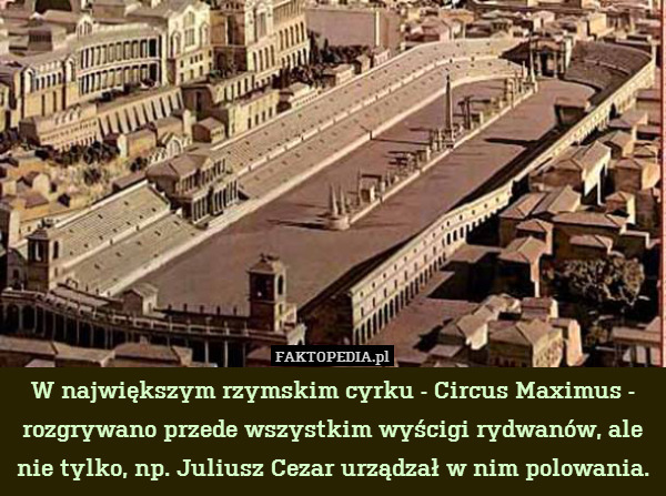 W największym rzymskim cyrku - Circus Maximus - rozgrywano przede wszystkim wyścigi rydwanów, ale nie tylko, np. Juliusz Cezar urządzał w nim polowania. 