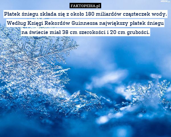 Płatek śniegu składa się z około 180 miliardów cząsteczek wody. Według Księgi Rekordów Guinnessa największy płatek śniegu na świecie miał 38 cm szerokości i 20 cm grubości. 