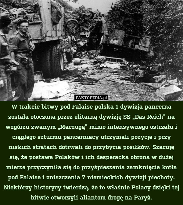 W trakcie bitwy pod Falaise polska 1 dywizja pancerna została otoczona przez elitarną dywizję SS „Das Reich” na wzgórzu zwanym „Maczugą” mimo intensywnego ostrzału i ciągłego szturmu pancerniacy utrzymali pozycje i przy niskich stratach dotrwali do przybycia posiłków. Szacuję się, że postawa Polaków i ich desperacka obrona w dużej mierze przyczyniła się do przyśpieszenia zamknięcia kotła pod Falaise i zniszczenia 7 niemieckich dywizji piechoty. Niektórzy historycy twierdzą, że to właśnie Polacy dzięki tej bitwie otworzyli aliantom drogę na Paryż. 