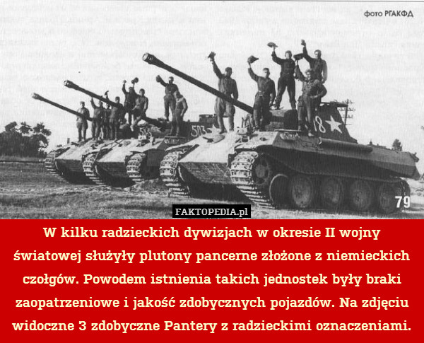 W kilku radzieckich dywizjach w okresie II wojny światowej służyły plutony pancerne złożone z niemieckich czołgów. Powodem istnienia takich jednostek były braki zaopatrzeniowe i jakość zdobycznych pojazdów. Na zdjęciu widoczne 3 zdobyczne Pantery z radzieckimi oznaczeniami. 