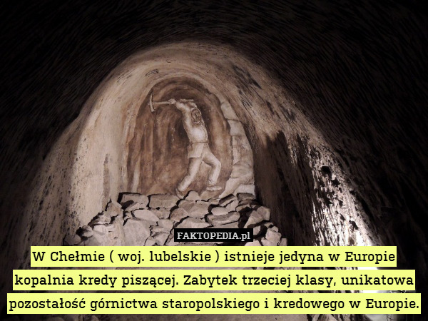 W Chełmie ( woj. lubelskie ) istnieje jedyna w Europie kopalnia kredy piszącej. Zabytek trzeciej klasy, unikatowa pozostałość górnictwa staropolskiego i kredowego w Europie. 