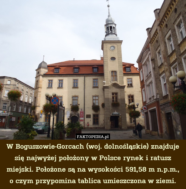 W Boguszowie-Gorcach (woj. dolnośląskie) znajduje się najwyżej położony w Polsce rynek i ratusz miejski. Położone są na wysokości 591,58 m n.p.m., o czym przypomina tablica umieszczona w ziemi. 